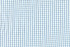 Light blue small gingham