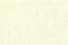 Cream poplin