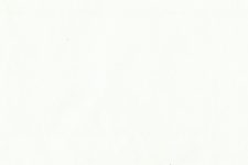 White pinpoint