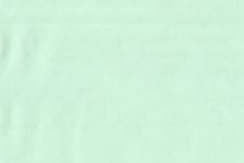 Light green poplin