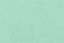 Mint green poplin