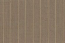 Tan stripe