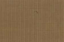 Tan stripe