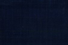 Blue nailhead