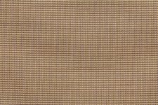 Beige nailhead