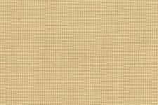 Golden beige self design