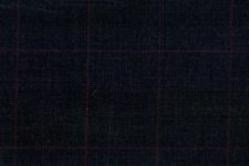 Grey check with red windowpane