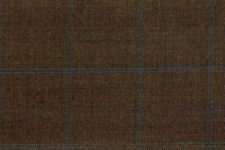 Brown with blue windowpane