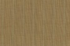 Tan with double colour stripes