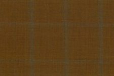Brown with blue windowpane