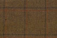 Brown with orange and brown windowpanes