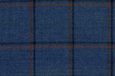 Blue with dark blue and brown windowpanes