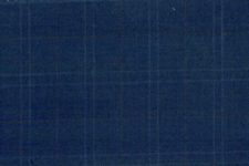 Blue windowpane