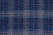 Blue with peach check