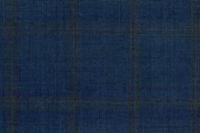 Blue with hazel windowpane