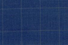Medium blue windowpane