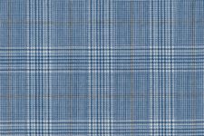 Light blue check