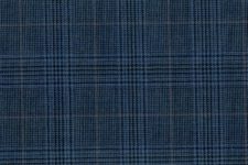 Blue with caramel check