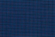Cobalt blue with berry check