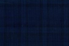 Blue windowpane