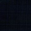 Charcoal with blue windowpane
