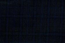 Charcoal with blue windowpane