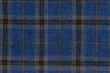 Blue with tan check