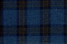 Blue with copper check