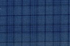 Blue with dark blue windowpane