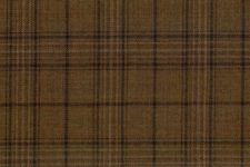 Brown windowpane