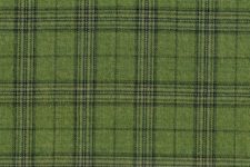 Light green check