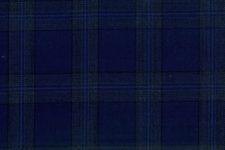 Royal blue check
