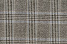 Light grey with blue check