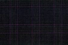 Grey with purple check