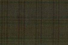 Olive windowpane
