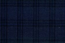 Blue windowpane