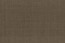 Light olive tan