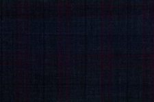 Blue with red check