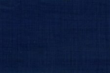 Light navy check