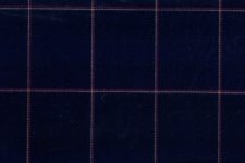Navy with red and white windowpane
