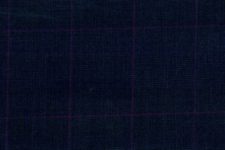 Blue with purple check