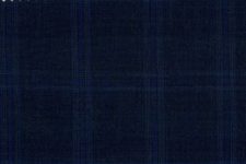 Navy with navy check