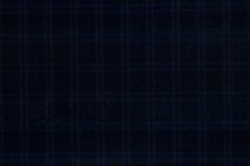 Dark navy mini check
