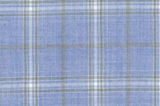 Light blue check