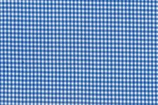 Light blue mini check