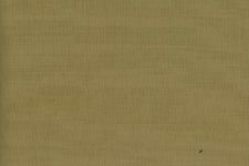 Green khaki