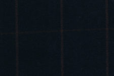 Navy with red windowpane