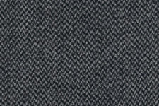 Grey large birdseye