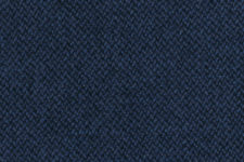 Blue large birdseye
