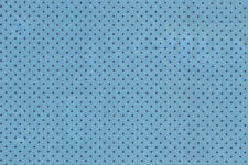 Navy dots on blue